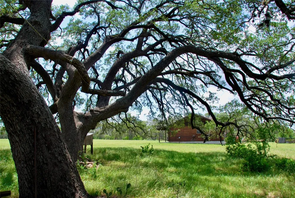 2725 Old Lehmann Road Kingsbury, TX 78638